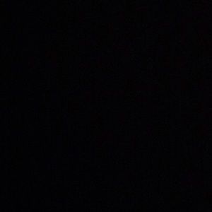 Meet your Posher, Dalton